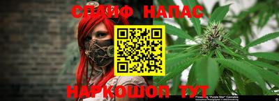 spice Брянск