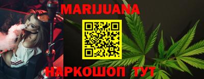 индика Бердск