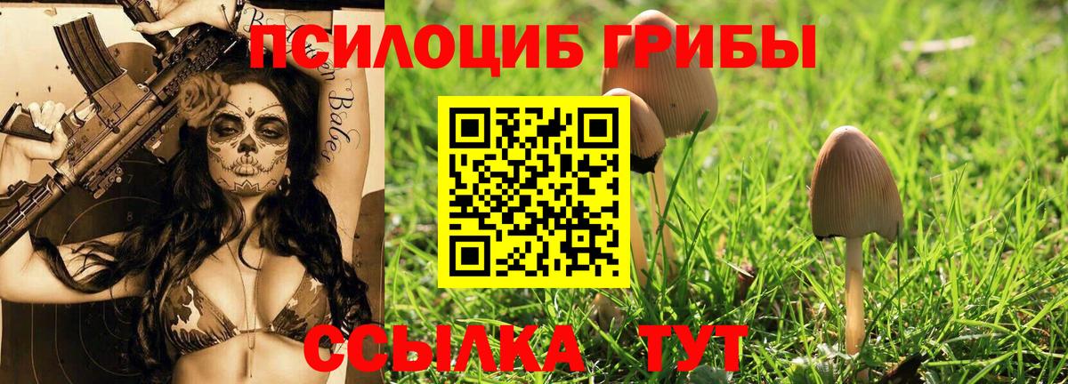 Кимовск  Псилоцибиновые грибы Magic Shrooms  Вход с VPN  Псилоцибиновые грибы Magic Shrooms 