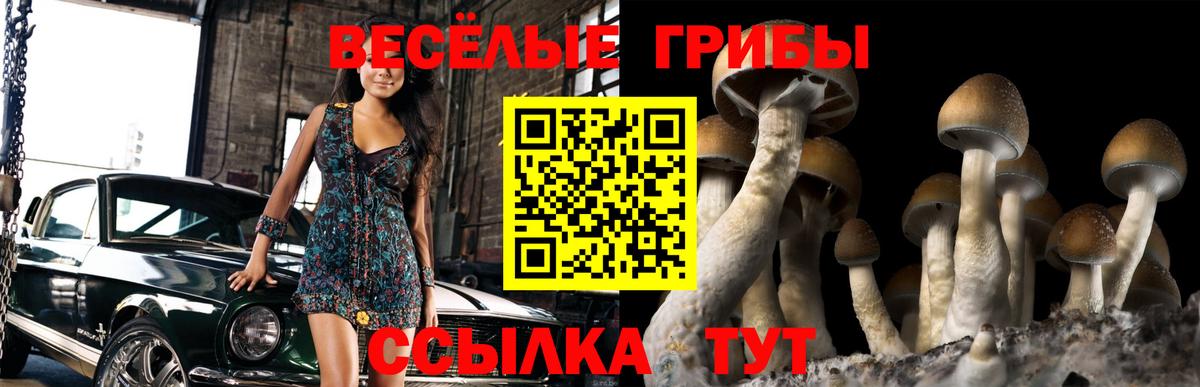 Псилоцибиновые грибы ЛСД Кимовск