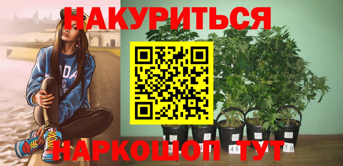 Марихуана конопля Кимовск